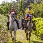 Pablo Rivas Profile Picture