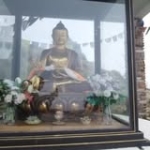 Daniela Stoyanov Profile Picture