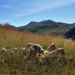 Katxu Profile Picture