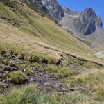 Gabrielle TURPIN Profile Picture