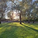 AdrG001 Profile Picture