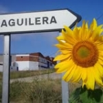 Yoli Molina Vesperinas Profile Picture