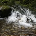 Carlos Jurado Aviles Profile Picture