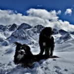 Alvaro VA Profile Picture