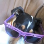 Sylvia Zarate Barea Profile Picture