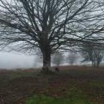 VELEX Profile Picture