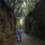 ibai echeandia Profile Picture