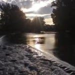 Santo Jo Profile Picture