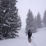 Matt Ship Profile Picture