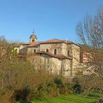 Javitxin Profile Picture