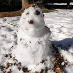 Elena Go Profile Picture