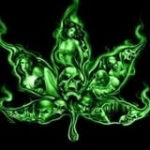 Ganjaman Yofu Momucho Profile Picture