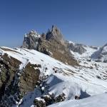 Daylos Profile Picture