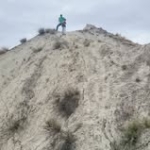 Veronica Valencia del Rio Profile Picture