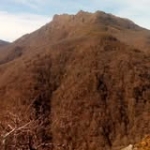 Javier Escribano Profile Picture