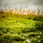 Luking G Profile Picture