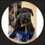 Hugo Laguna Novas profile picture