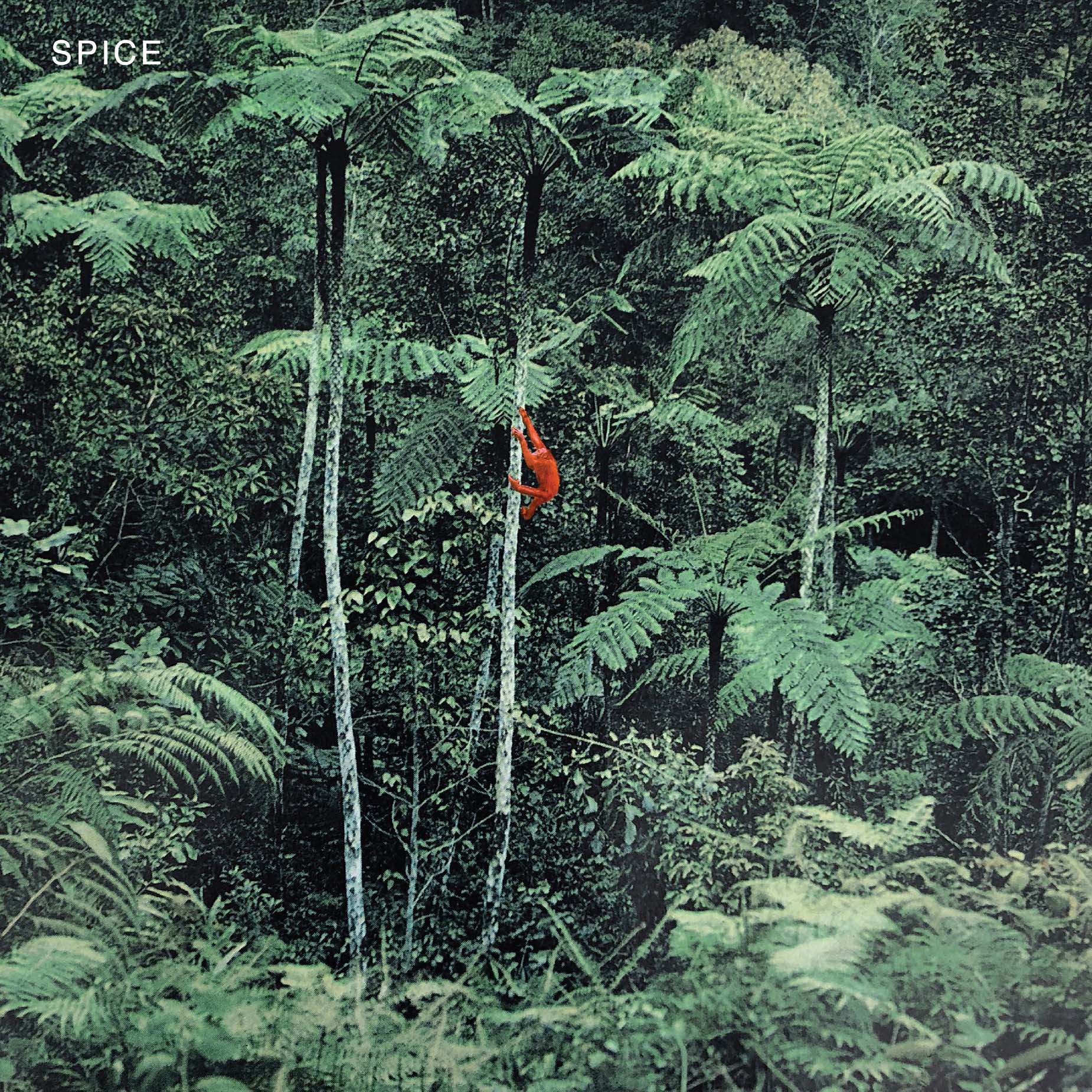 Spice - Vinyle Translucide