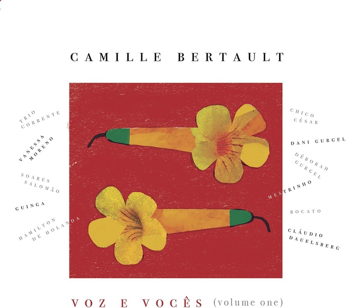 Voz E Voces