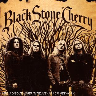 Black Stone Cherry