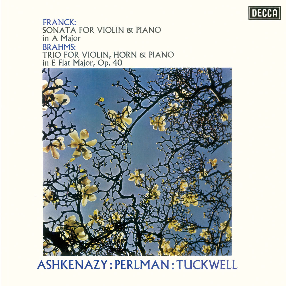 FRANCK VIOLIN SONATA / BRAHMS