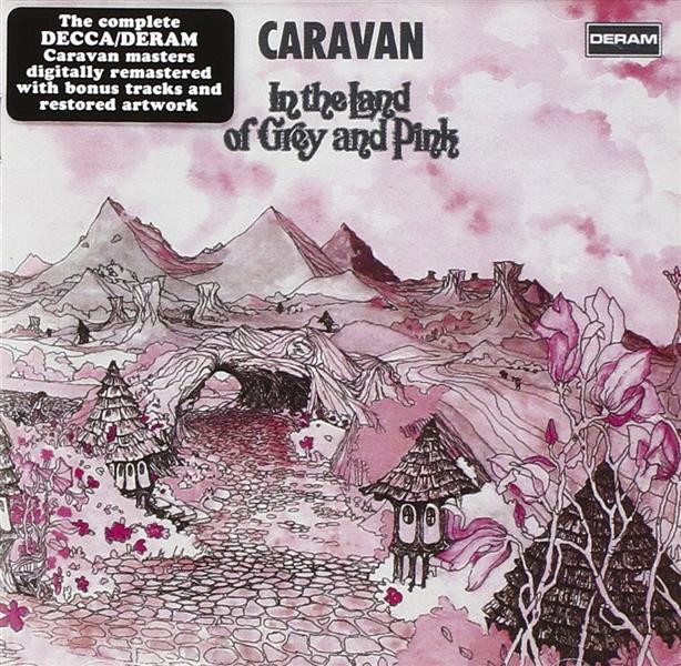 In the land of grey and pink - Inclus 5 titres bonus