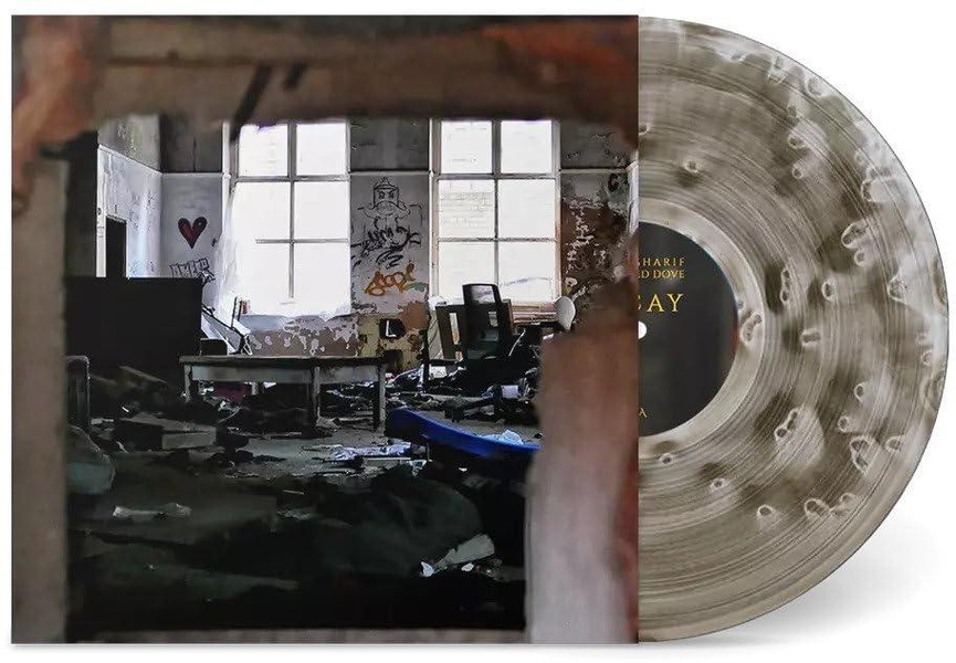Decay - Vinyle Splatter Transparent