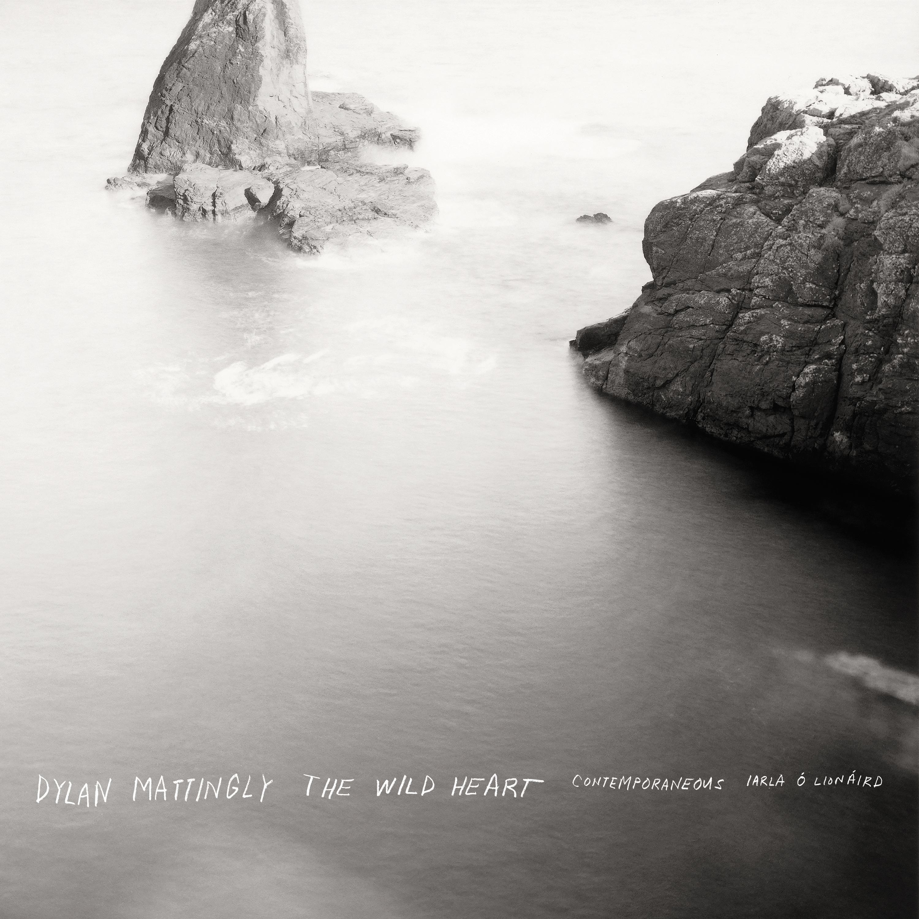 DYLAN MATTINGLY: THE WILD HEART