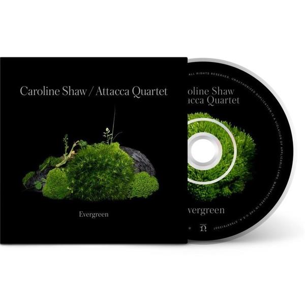Caroline Shaw : Evergreen