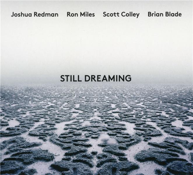 Still dreaming