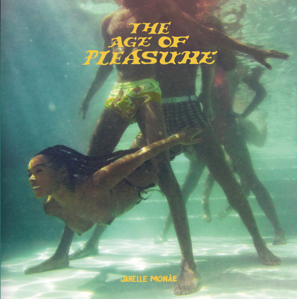 THE AGE OF PLEASURE