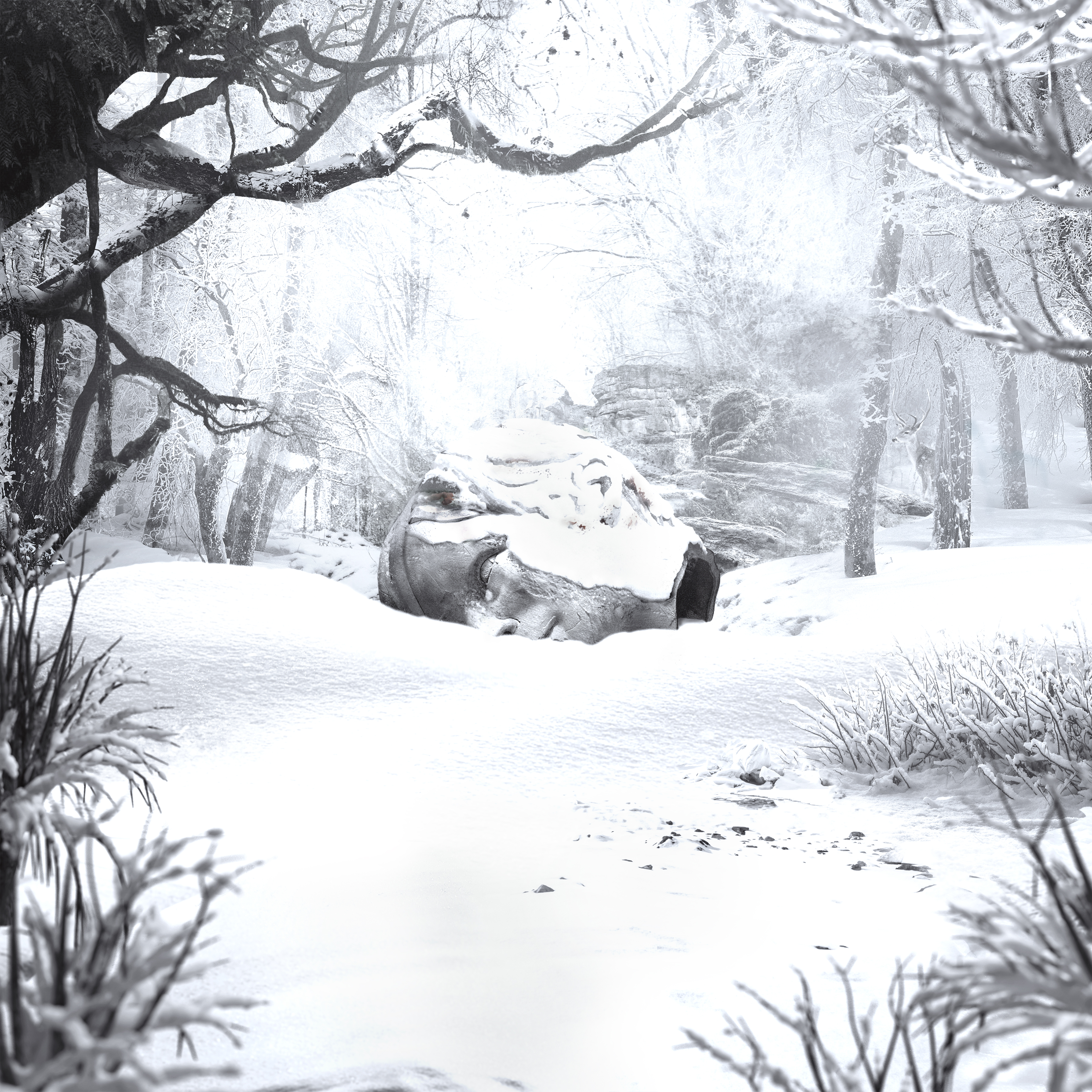 SZNZ: WINTER