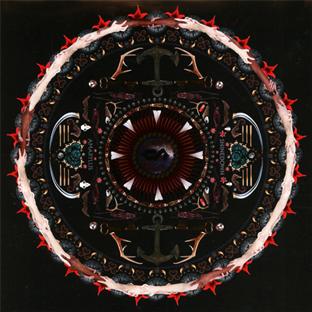 Amaryllis