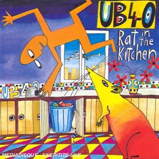 Rat in the Kitchen