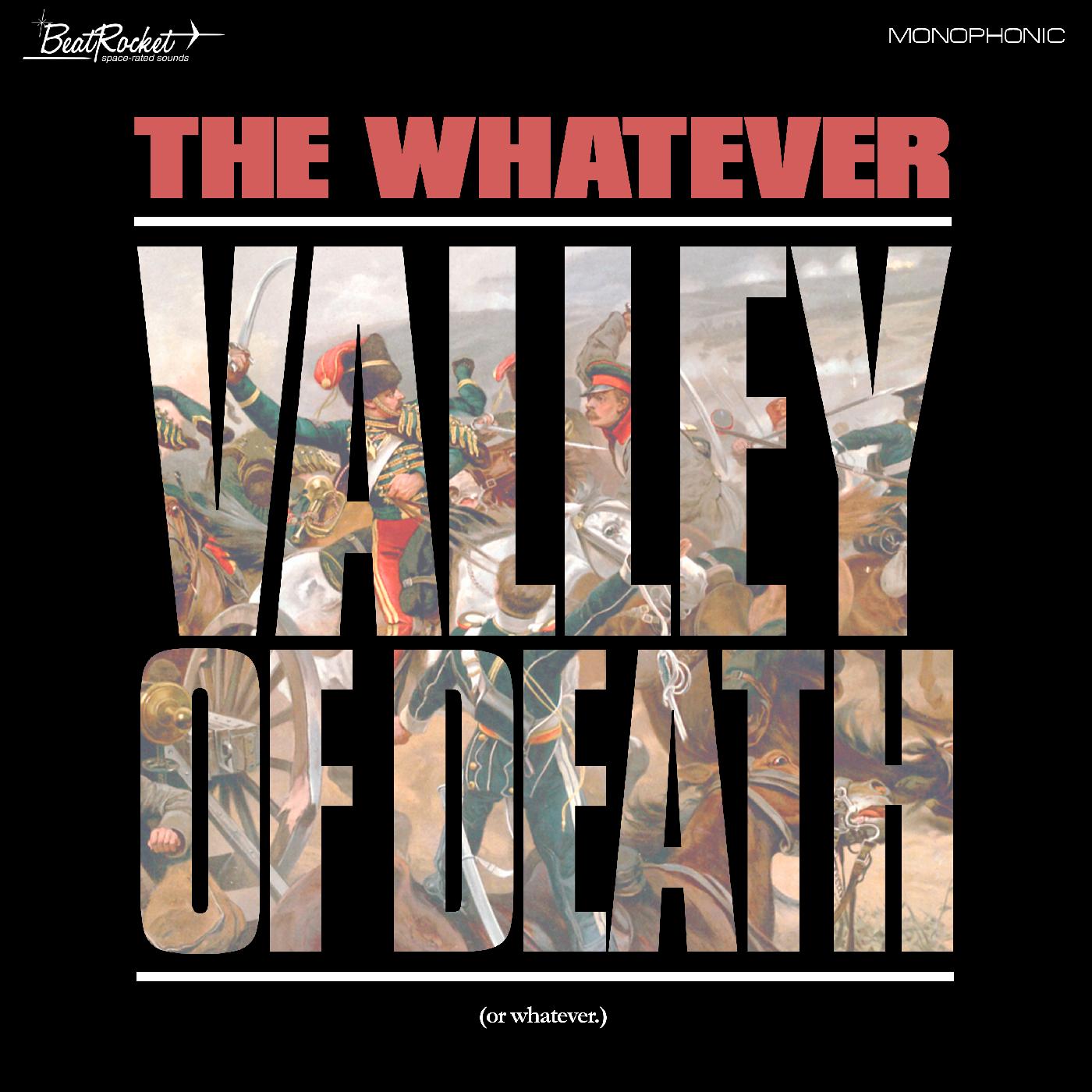 VALLEY OF DEATH/OR WHATEVER/VINYLE BLANC