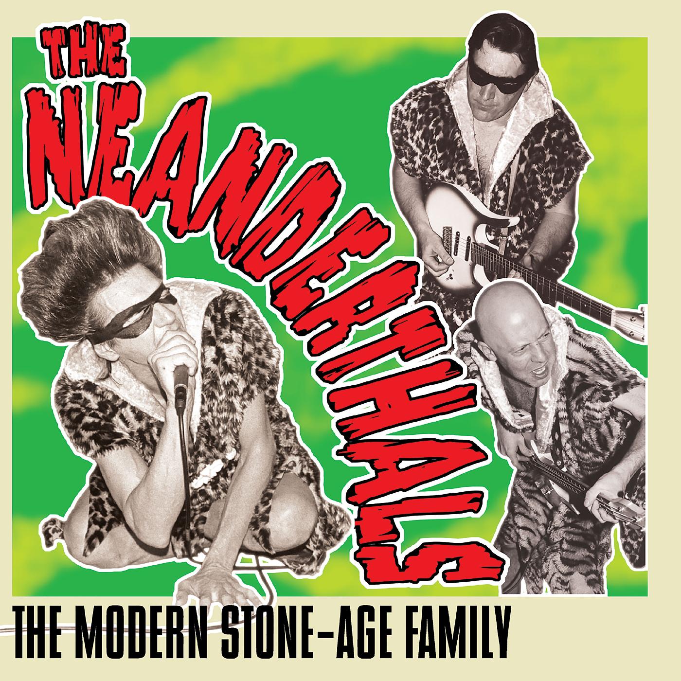 MODERN STONE AGE FAMILY/VINYLE GRIS