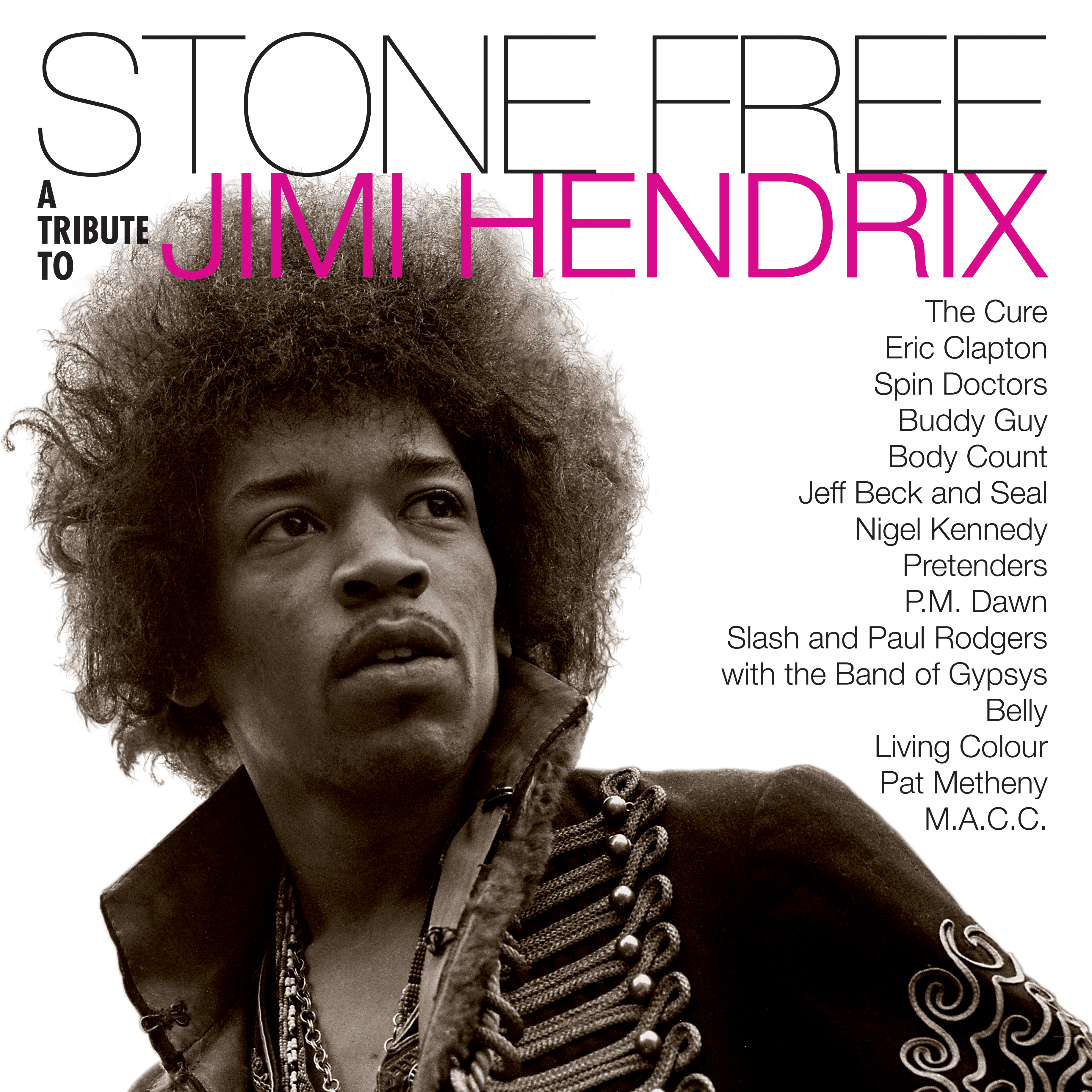 STONE FREE : JIMI HENDRIX TRIBUTE