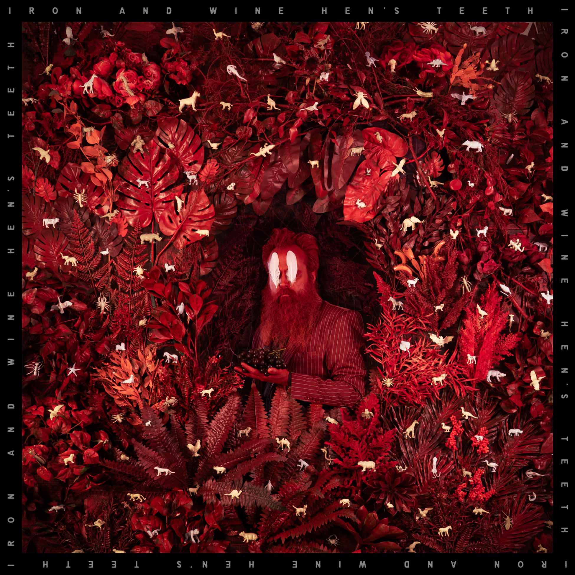 Hen's Teeth - Vinyle Rouge