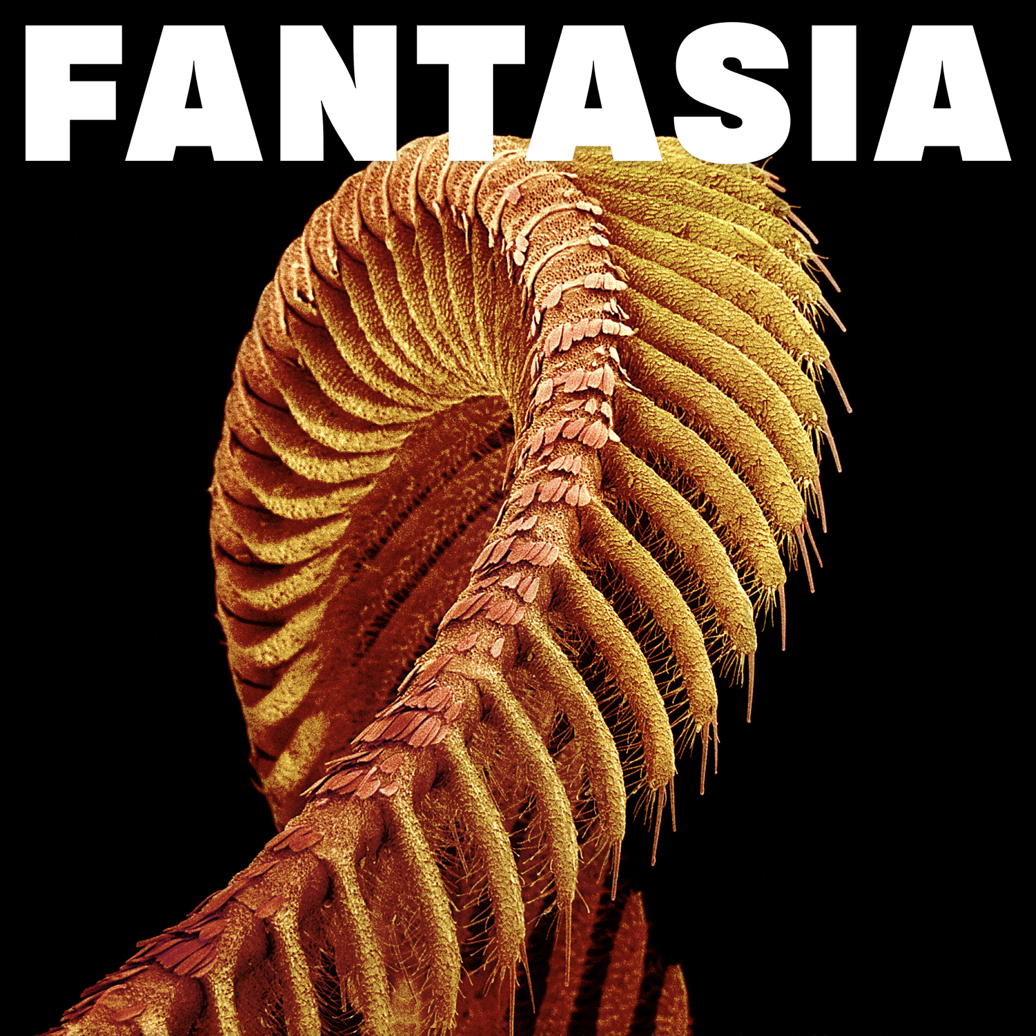 Fantasia - Vinyle Bleu Paillettes