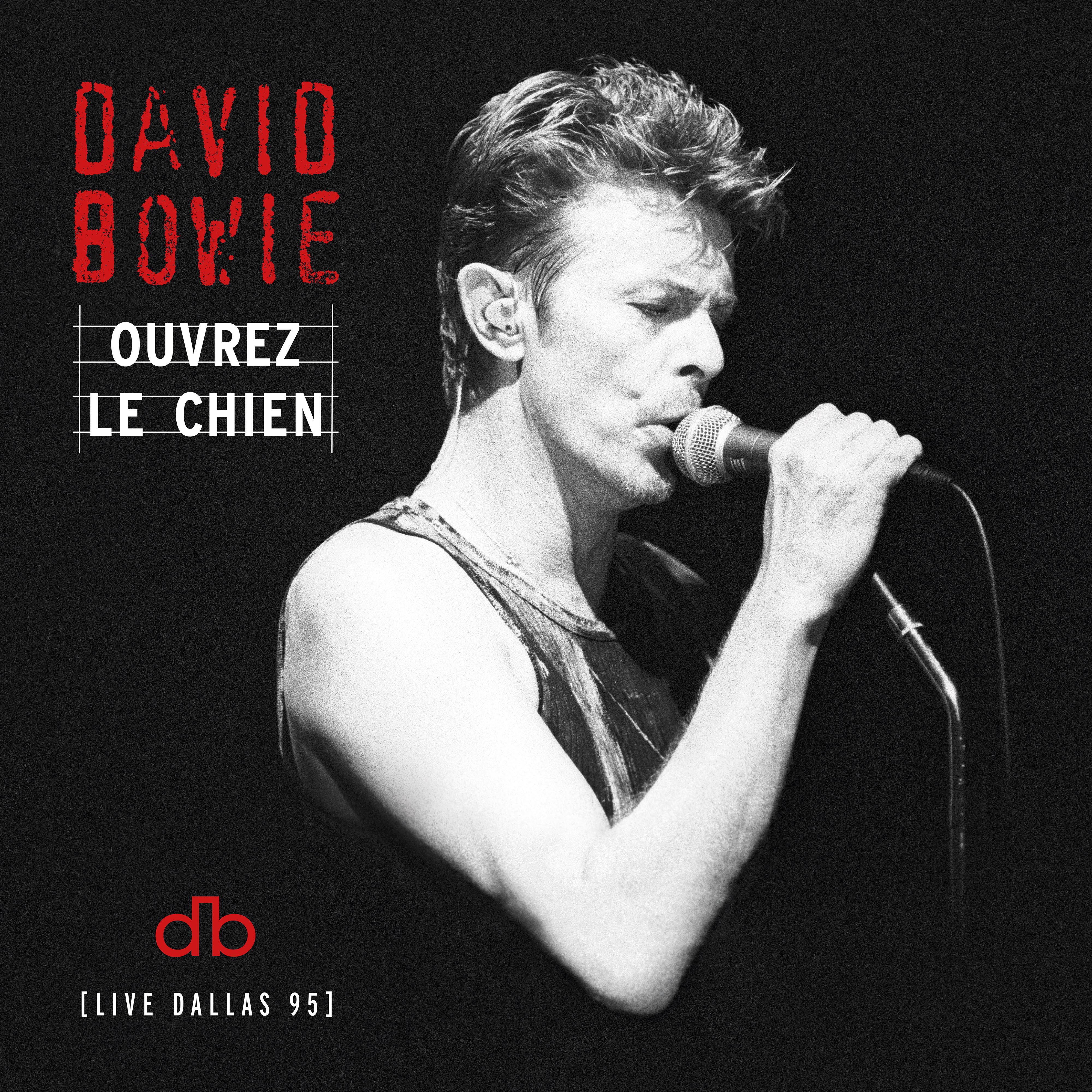 Ouvrez le chien: Live Dallas 95