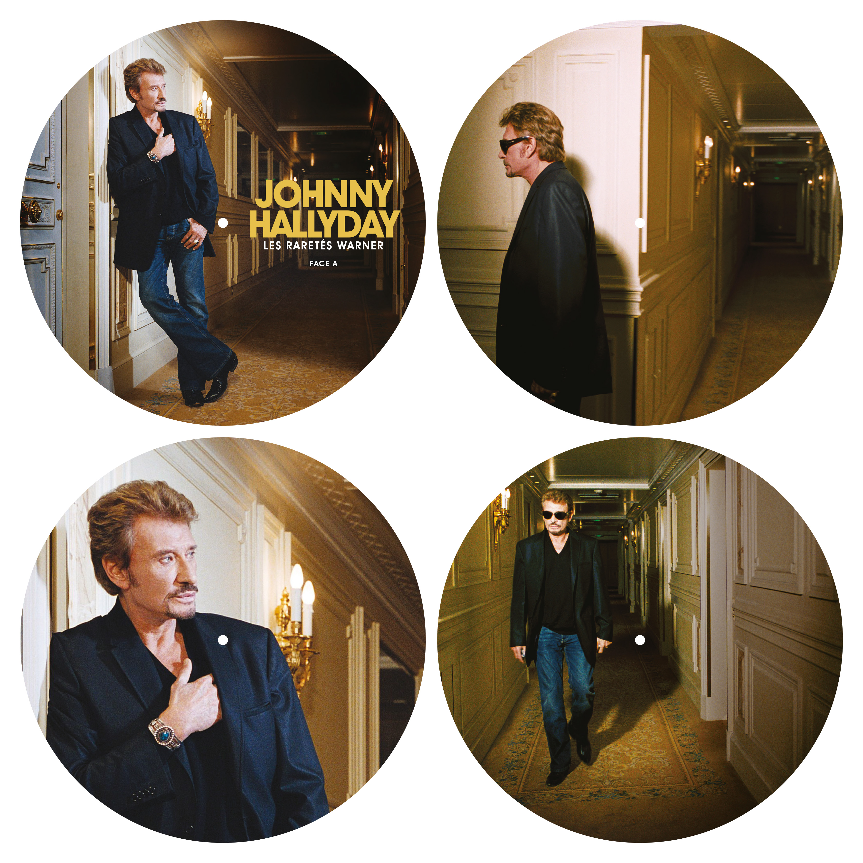 LES RARETÉS WARNER (DOUBLE VINYLE PICTURE-DISC COLLECTOR)