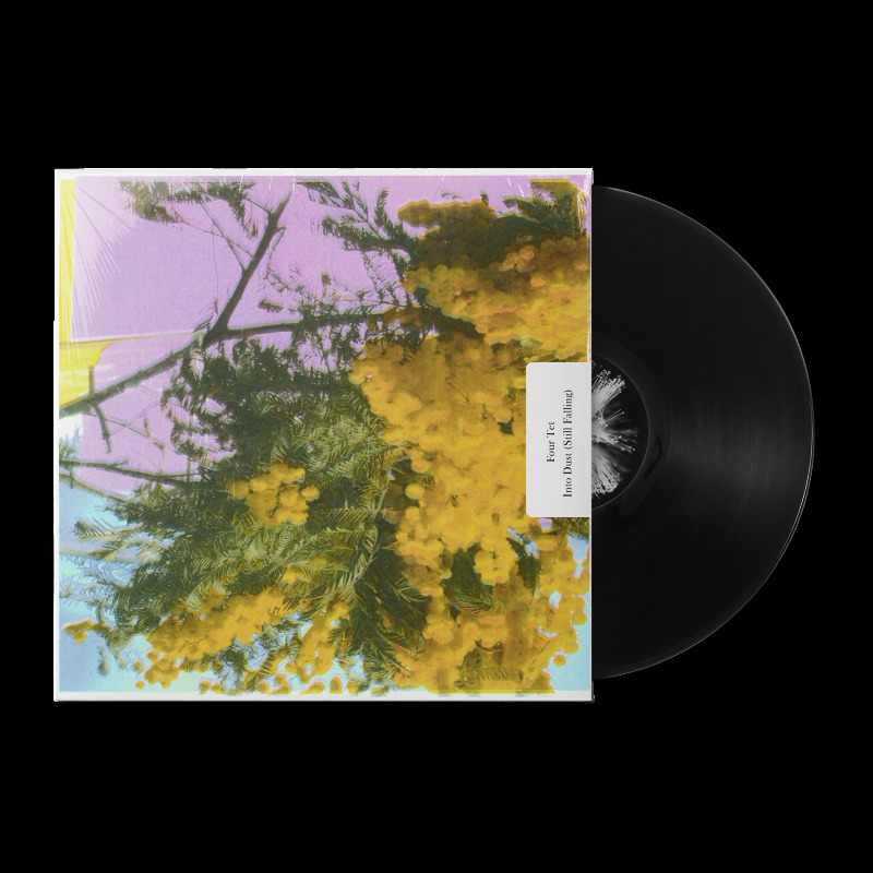 INTO DUST (STILL FALLING) - VINYLE MAXI 45T