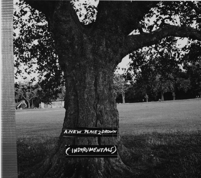 A NEW PLACE 2 DROWN (INSTRUMENTALS)
