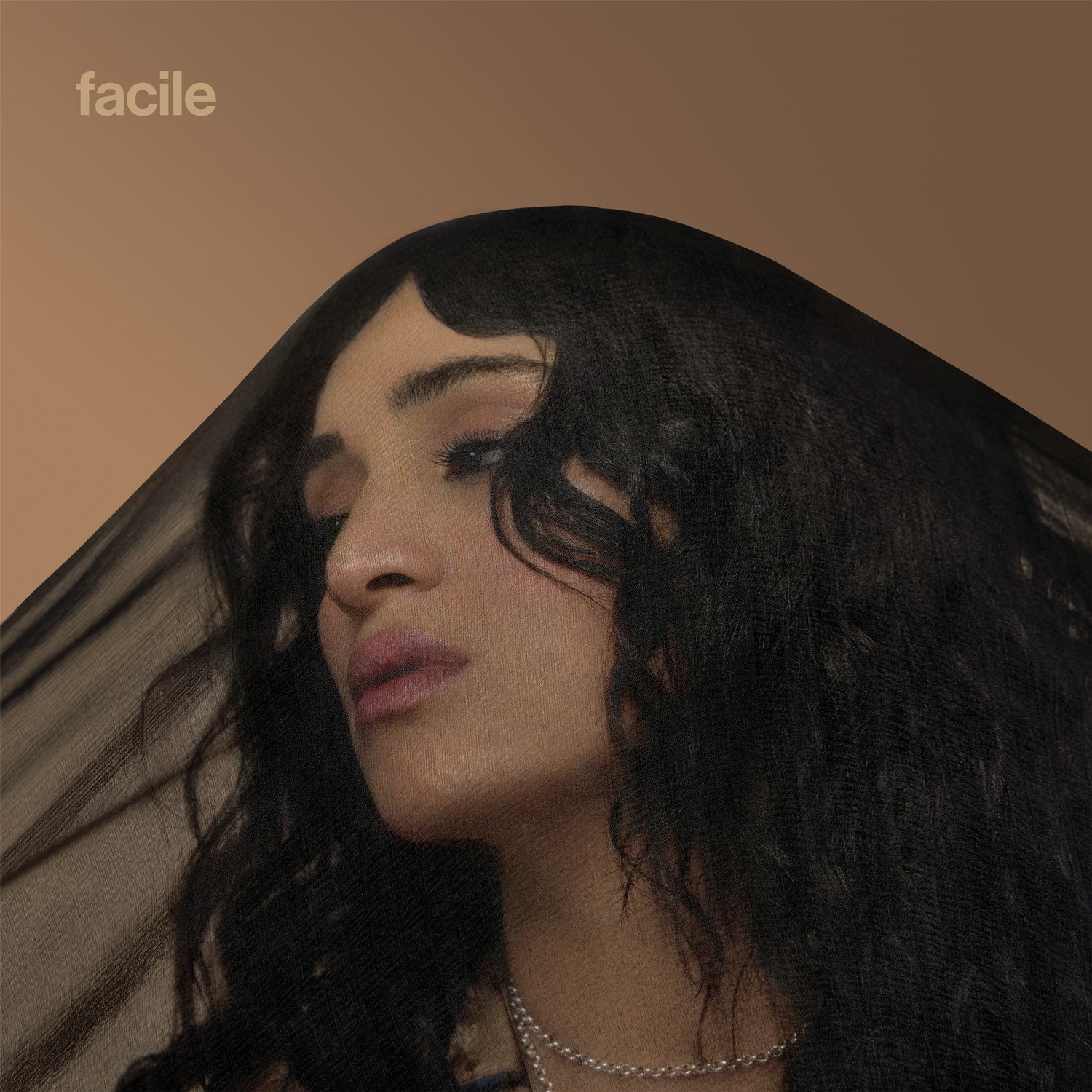 facile x fragile