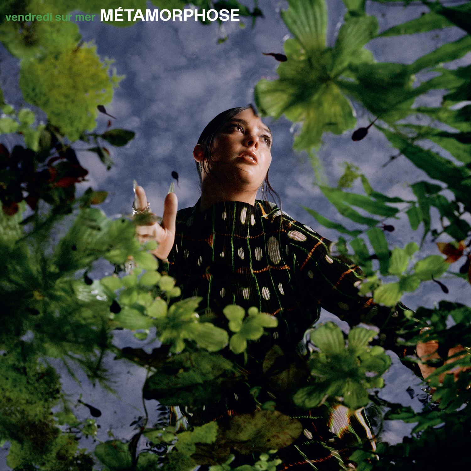 Métamorphose