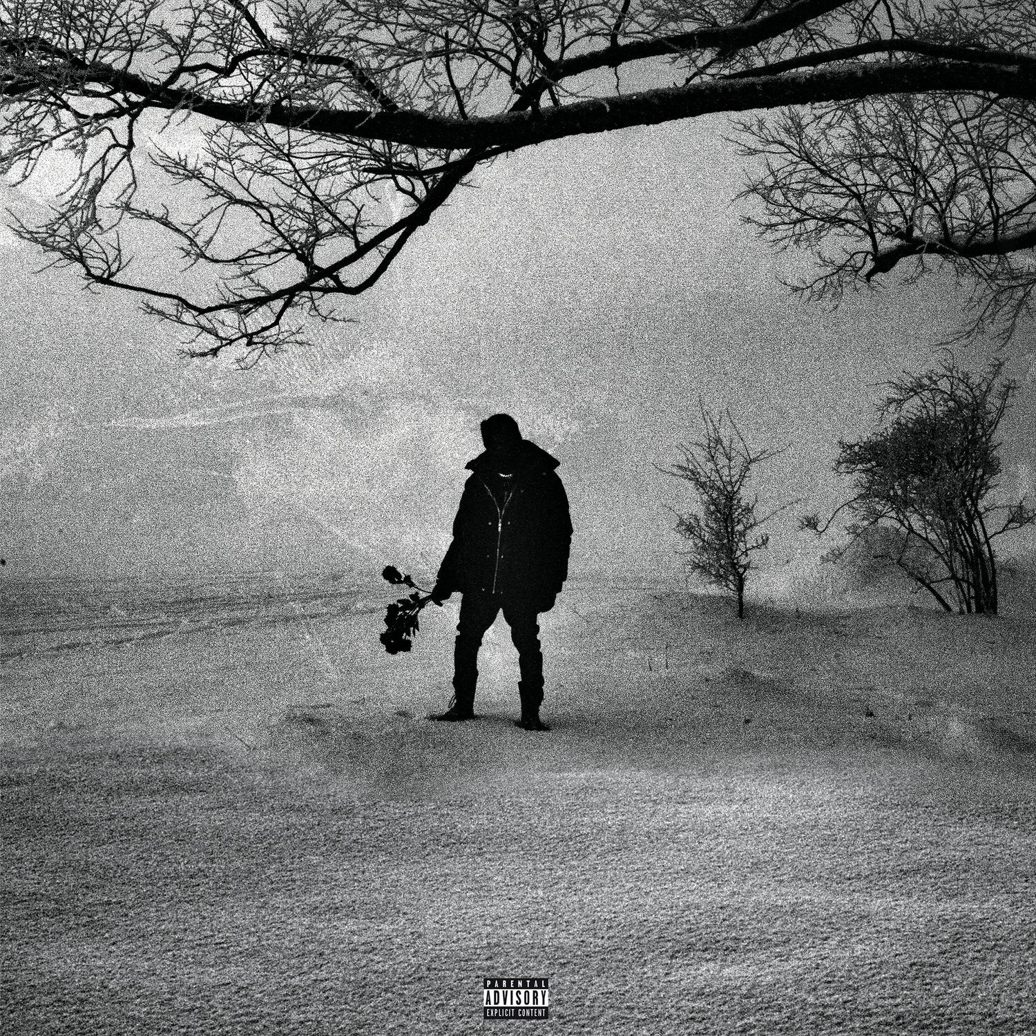 M.A.N (Black Roses & Lost Feelings)