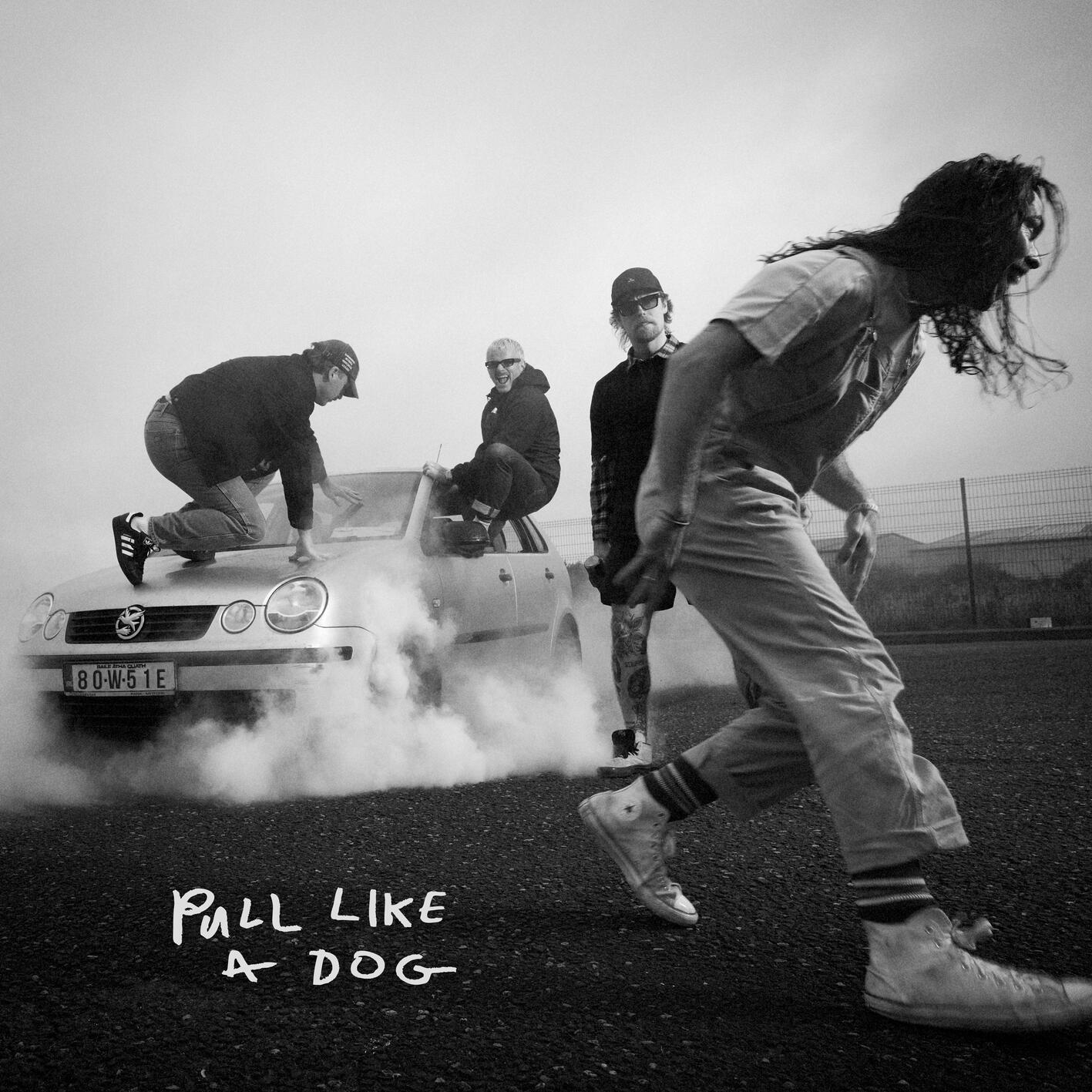 Pull Like a Dog
