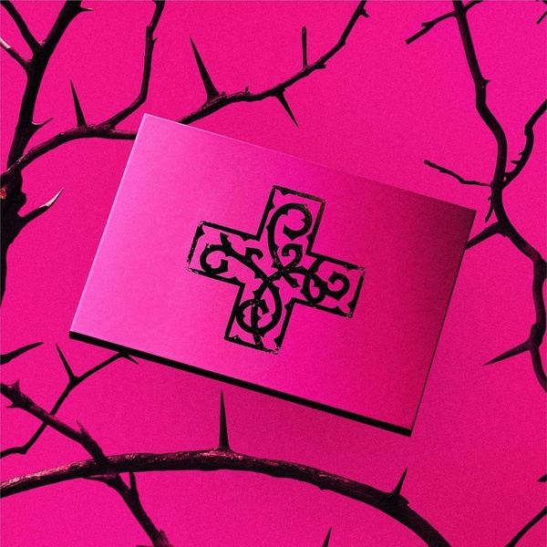 7TH YEAR: A Moment of Stillness in the Thorns (ANXIETY Version) Coffret