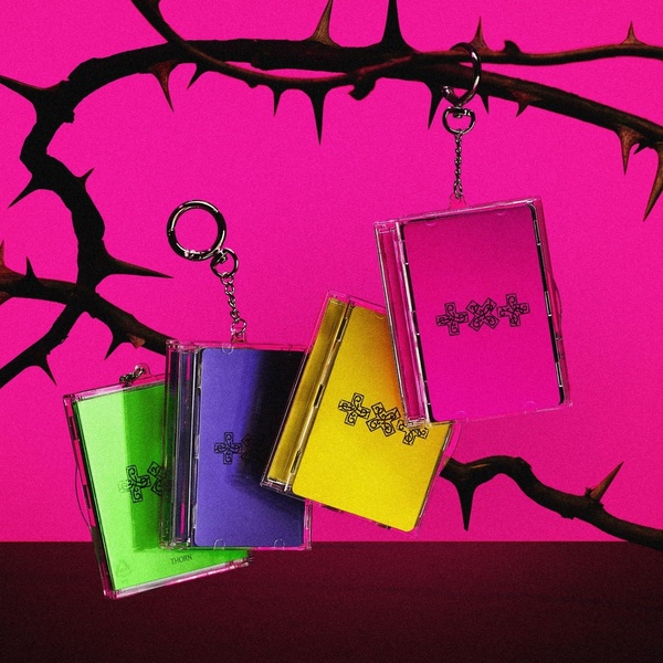 7TH YEAR: A Moment of Stillness in the Thorns (Photocard Case Version) Coffret