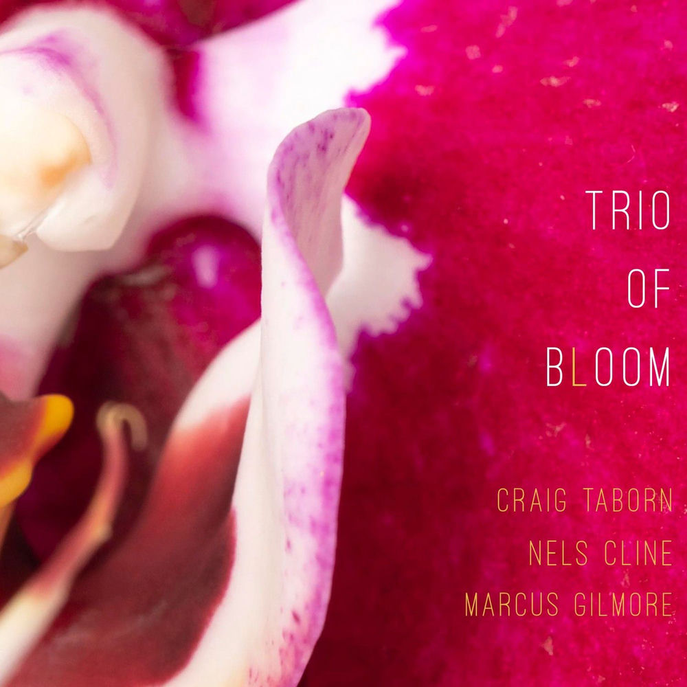 Trio Of Bloom